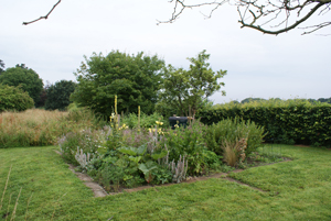 The de-commissioned old veg patch